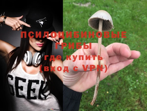твердый Няндома