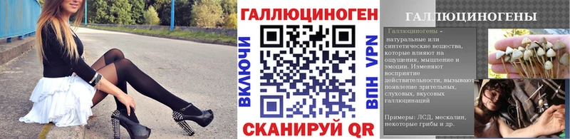 Галлюциногенные грибы Psilocybe  наркотики  Снежногорск 